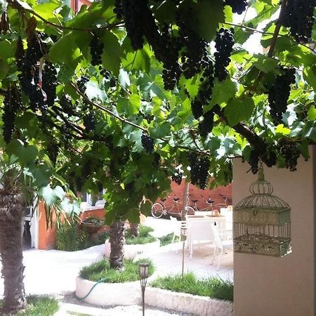 Hotel La Pergola Di Venezia Lido di Venezia Bagian luar foto