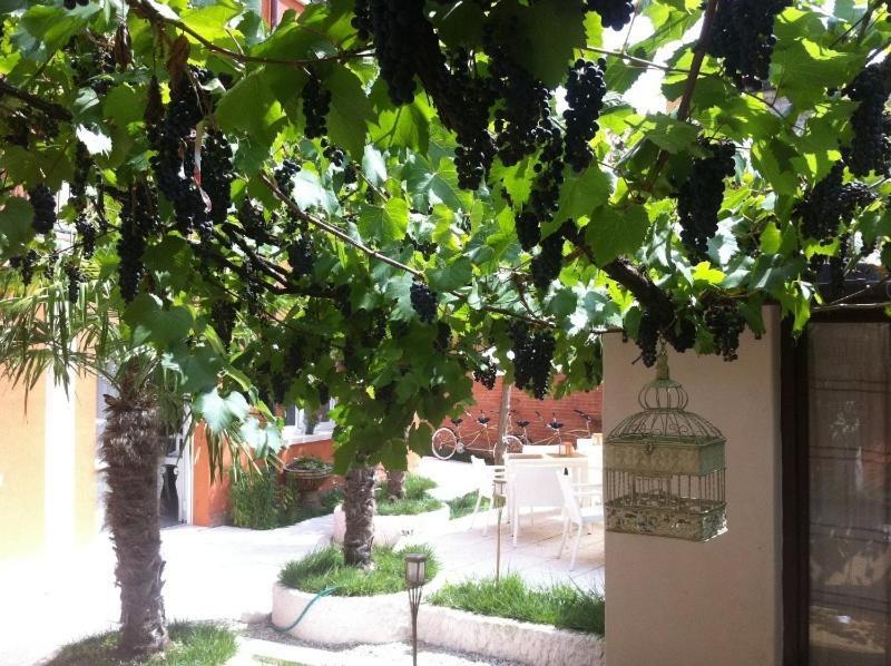 Hotel La Pergola Di Venezia Lido di Venezia Bagian luar foto